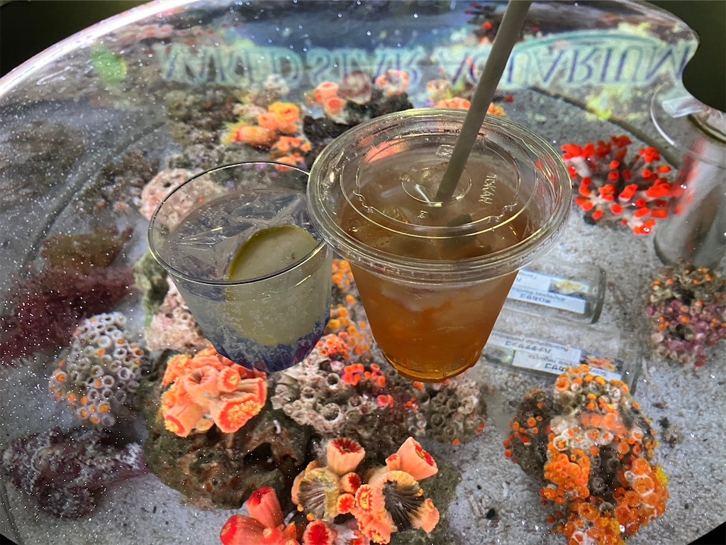 f:id:blueocchi:20221228111822j:image f:id:blueocchi:20221228111822j:image