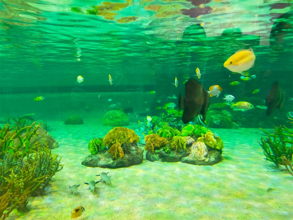 f:id:blueocchi:20230305161906j:image f:id:blueocchi:20230305161906j:image