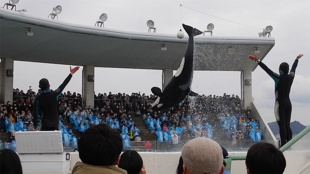 f:id:blueocchi:20230305161913j:image f:id:blueocchi:20230305161913j:image