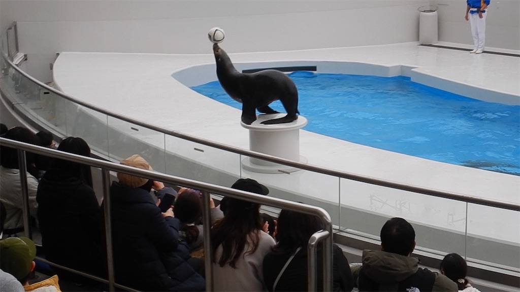 f:id:blueocchi:20230305161919j:image f:id:blueocchi:20230305161919j:image