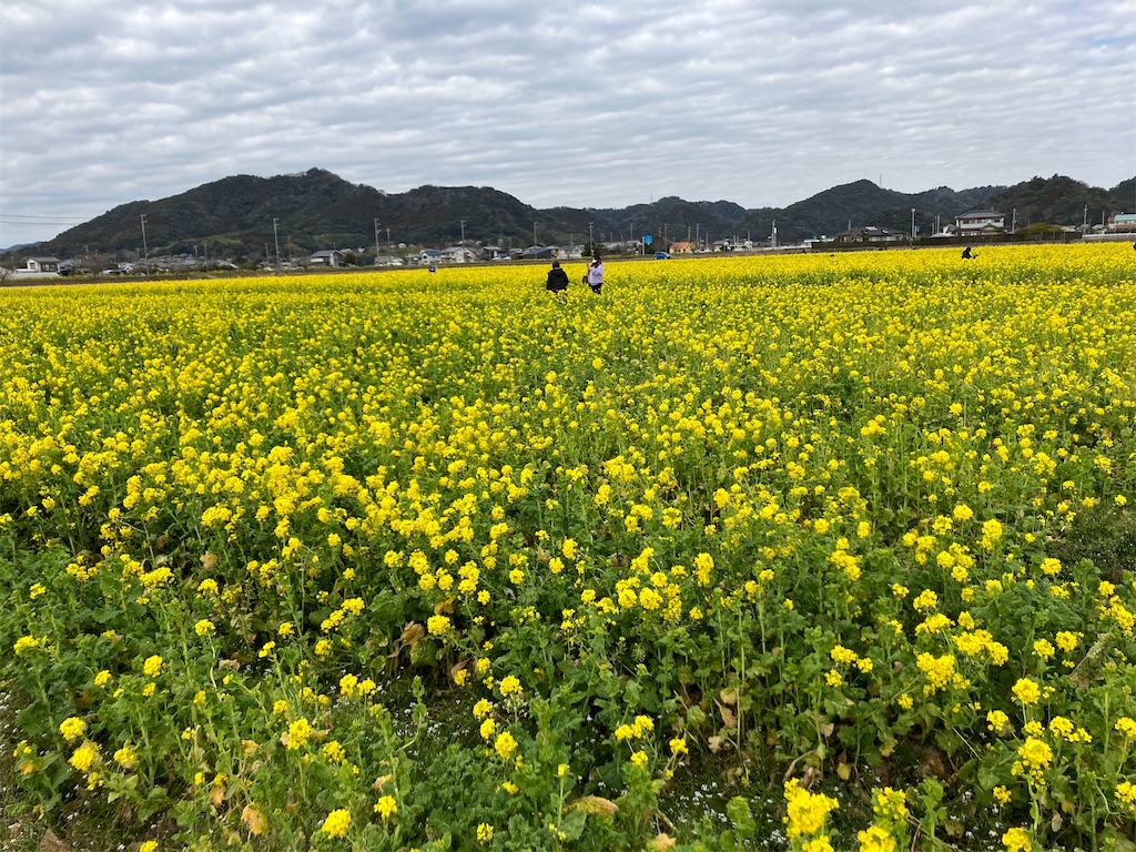 f:id:blueocchi:20230305163320j:image f:id:blueocchi:20230305163320j:image