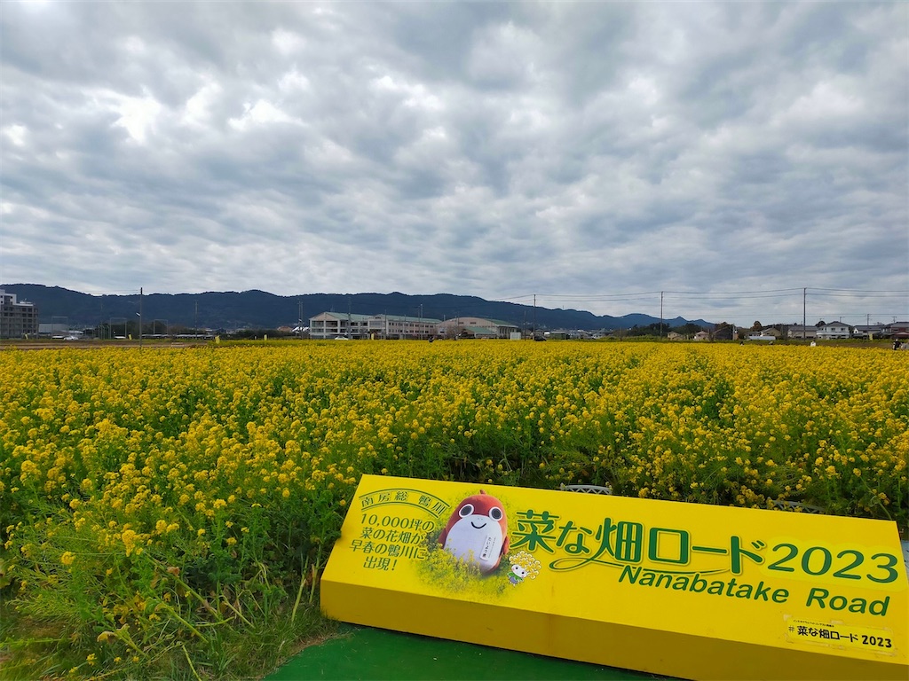 f:id:blueocchi:20230305163326j:image f:id:blueocchi:20230305163326j:image