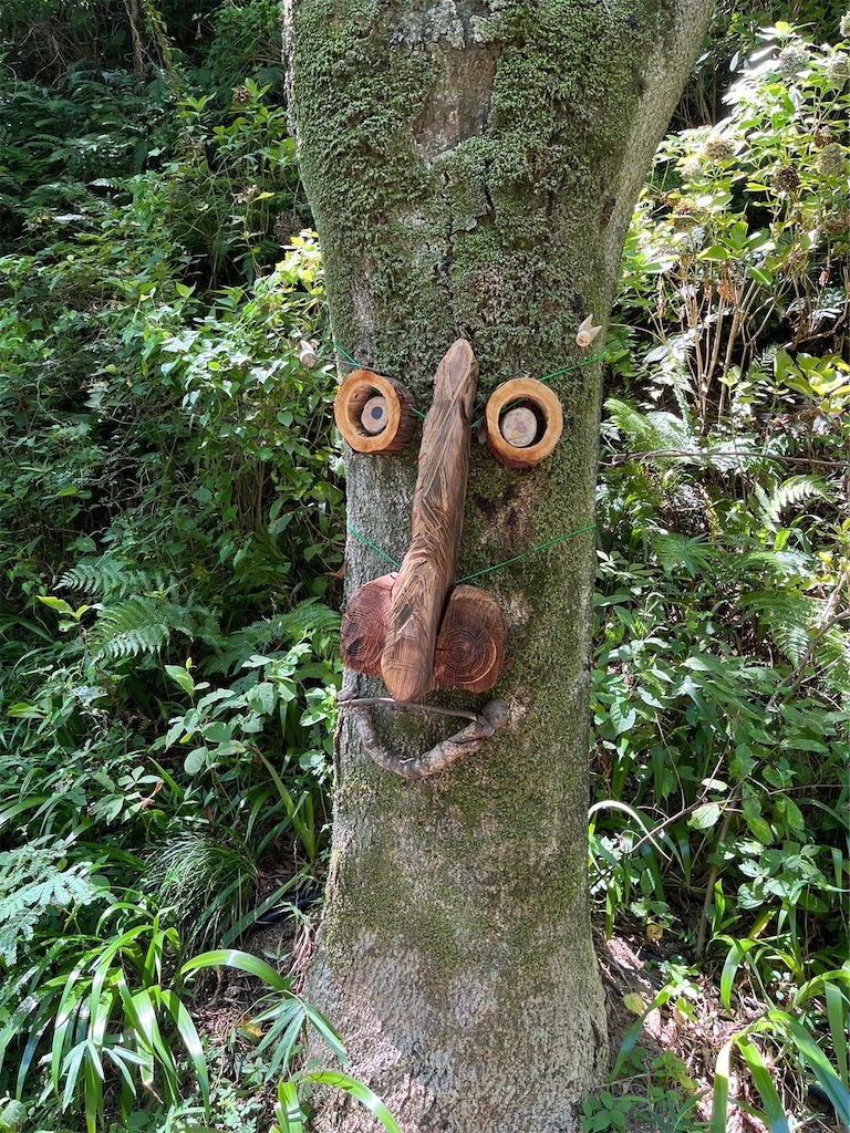 f:id:blueocchi:20230919205933j:image f:id:blueocchi:20230919205933j:image