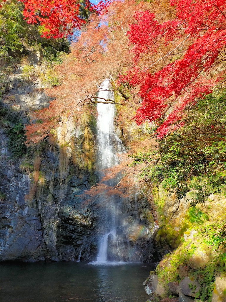 f:id:blueocchi:20231212144336j:image f:id:blueocchi:20231212144336j:image