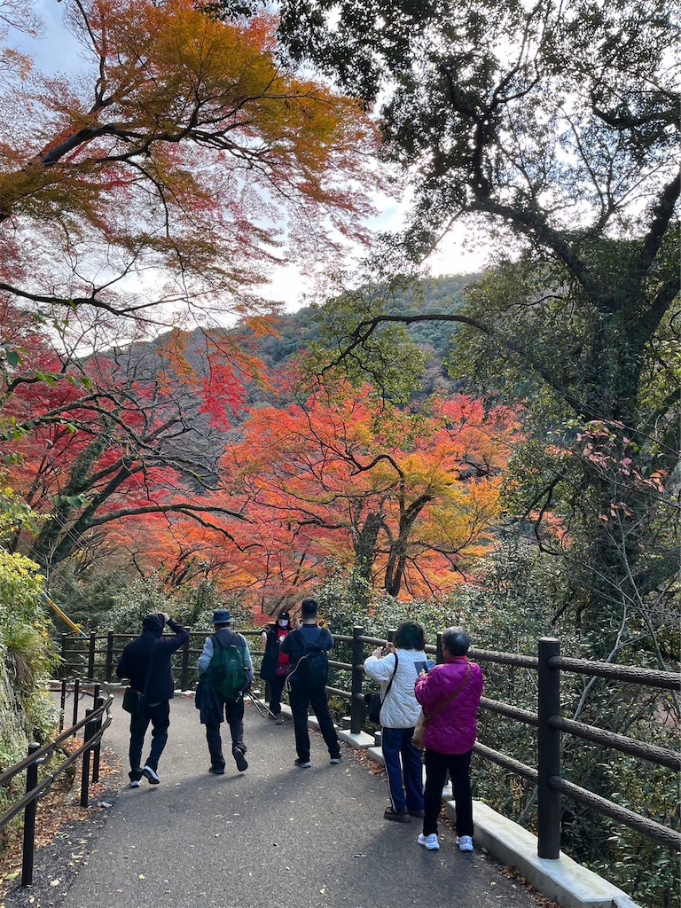 f:id:blueocchi:20231212144351j:image f:id:blueocchi:20231212144351j:image