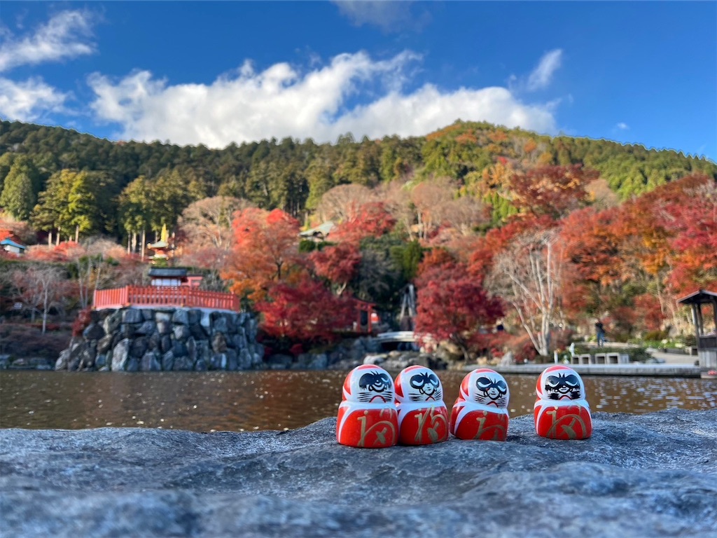 f:id:blueocchi:20231212144408j:image f:id:blueocchi:20231212144408j:image