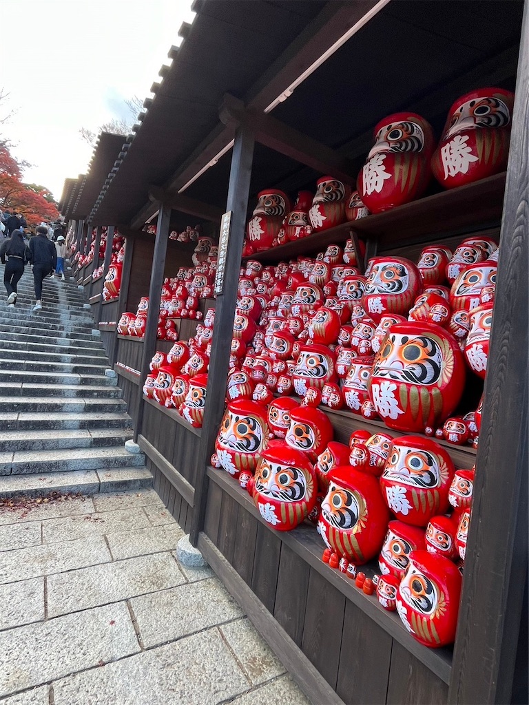 f:id:blueocchi:20231212144418j:image f:id:blueocchi:20231212144418j:image