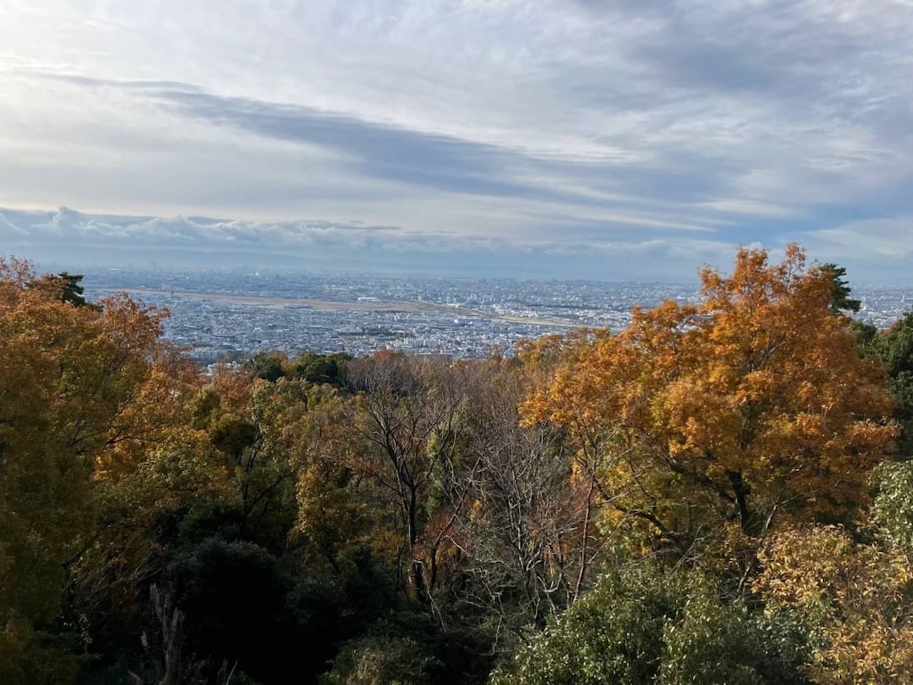 f:id:blueocchi:20231212145110j:image f:id:blueocchi:20231212145110j:image