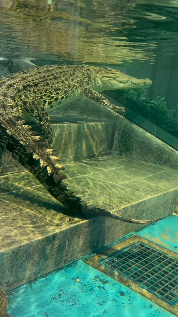 f:id:blueocchi:20231216082303j:image f:id:blueocchi:20231216082303j:image