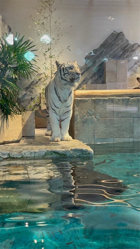 f:id:blueocchi:20231216082305j:image f:id:blueocchi:20231216082305j:image