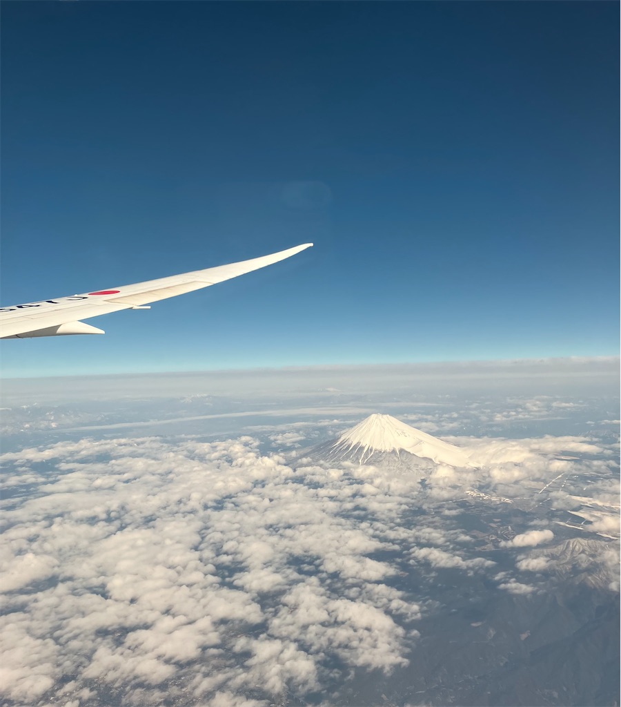 f:id:blueocchi:20240218152001j:image f:id:blueocchi:20240218152001j:image