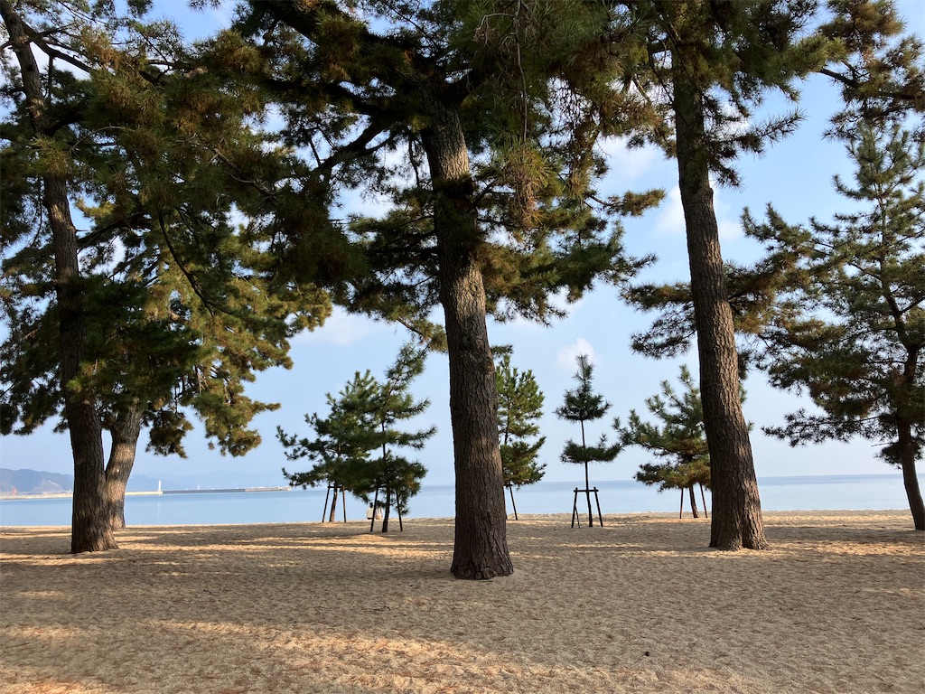 f:id:blueocchi:20240218152158j:image f:id:blueocchi:20240218152158j:image