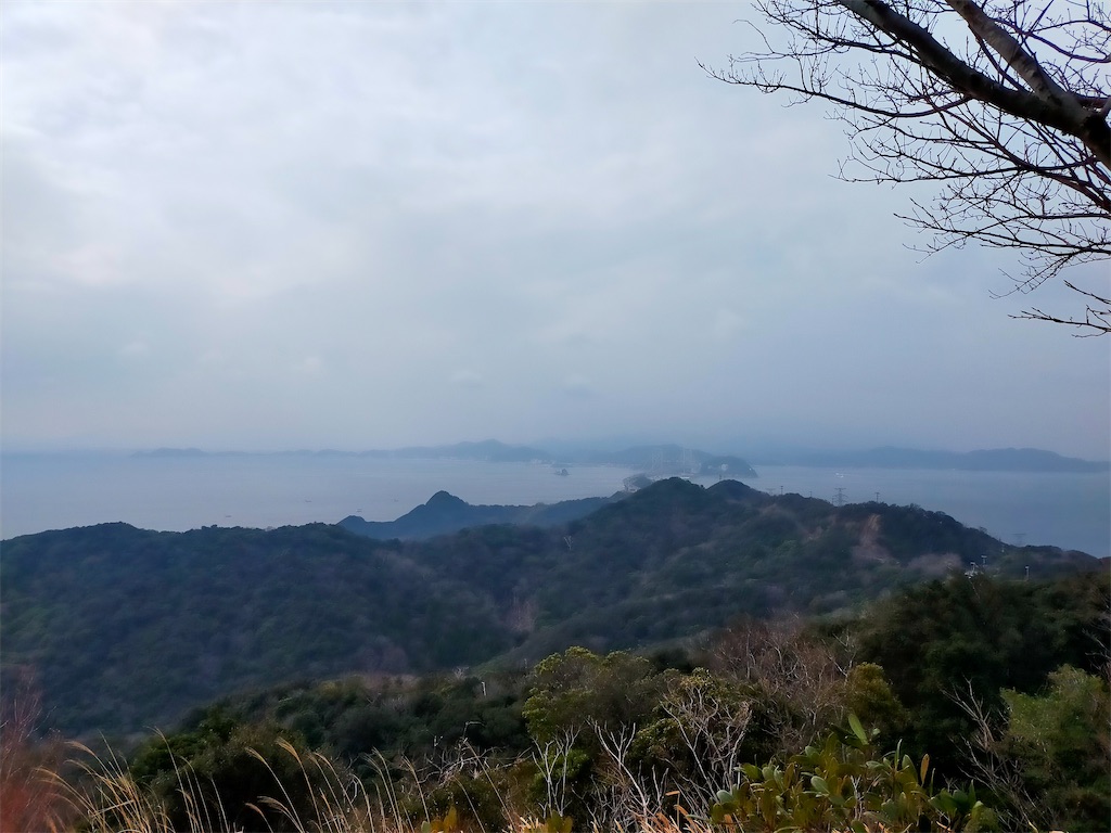 f:id:blueocchi:20240218152216j:image f:id:blueocchi:20240218152216j:image