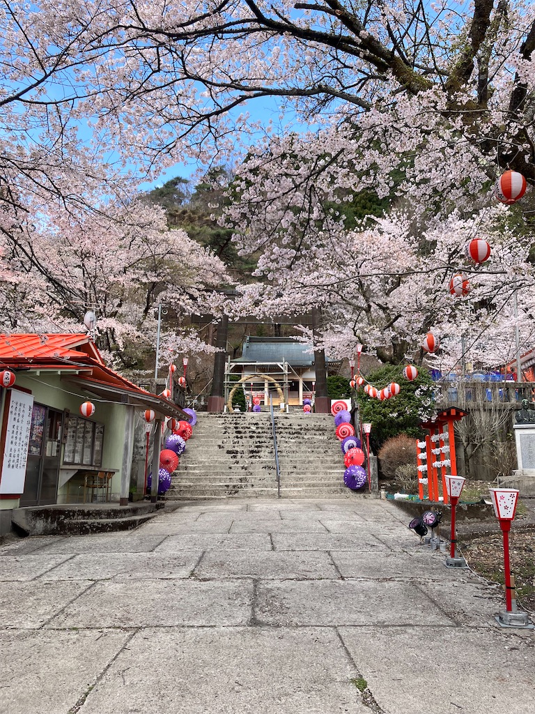 f:id:blueocchi:20240417153828j:image f:id:blueocchi:20240417153828j:image