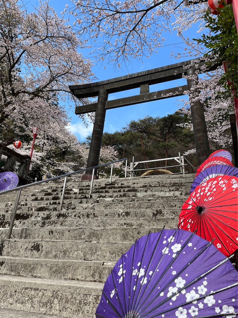 f:id:blueocchi:20240417153834j:image f:id:blueocchi:20240417153834j:image