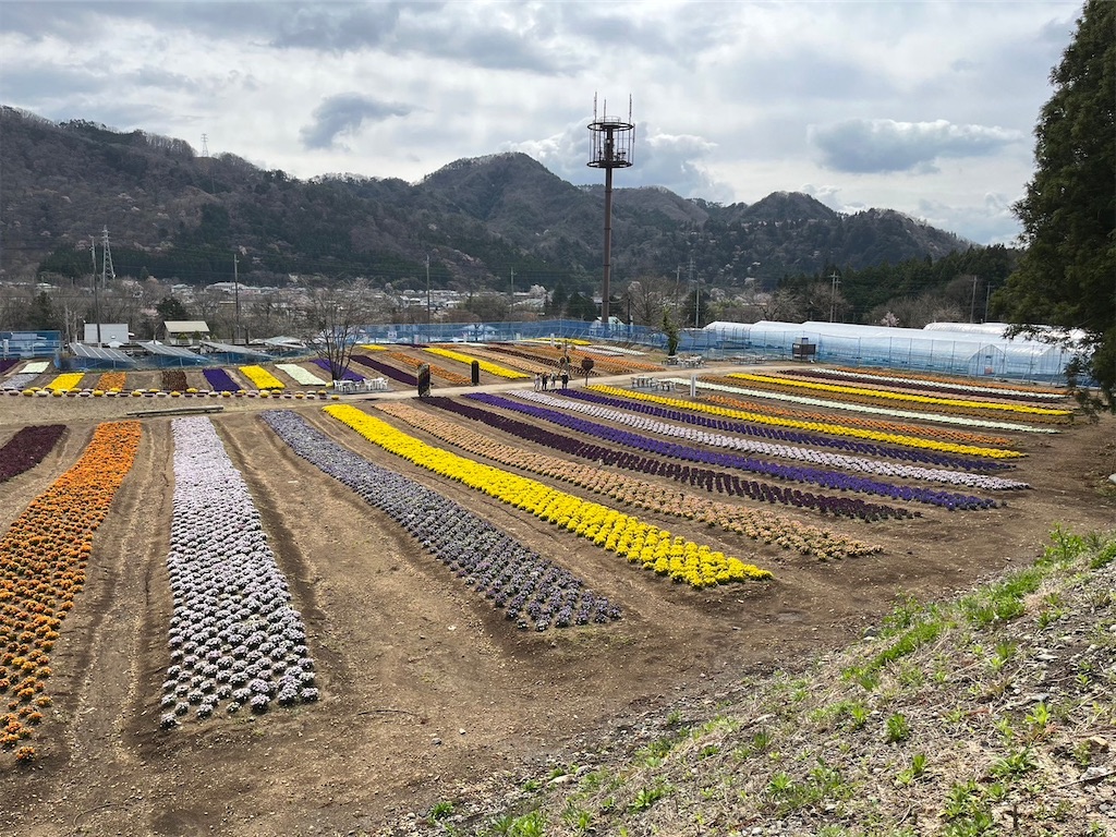 f:id:blueocchi:20240417154532j:image f:id:blueocchi:20240417154532j:image