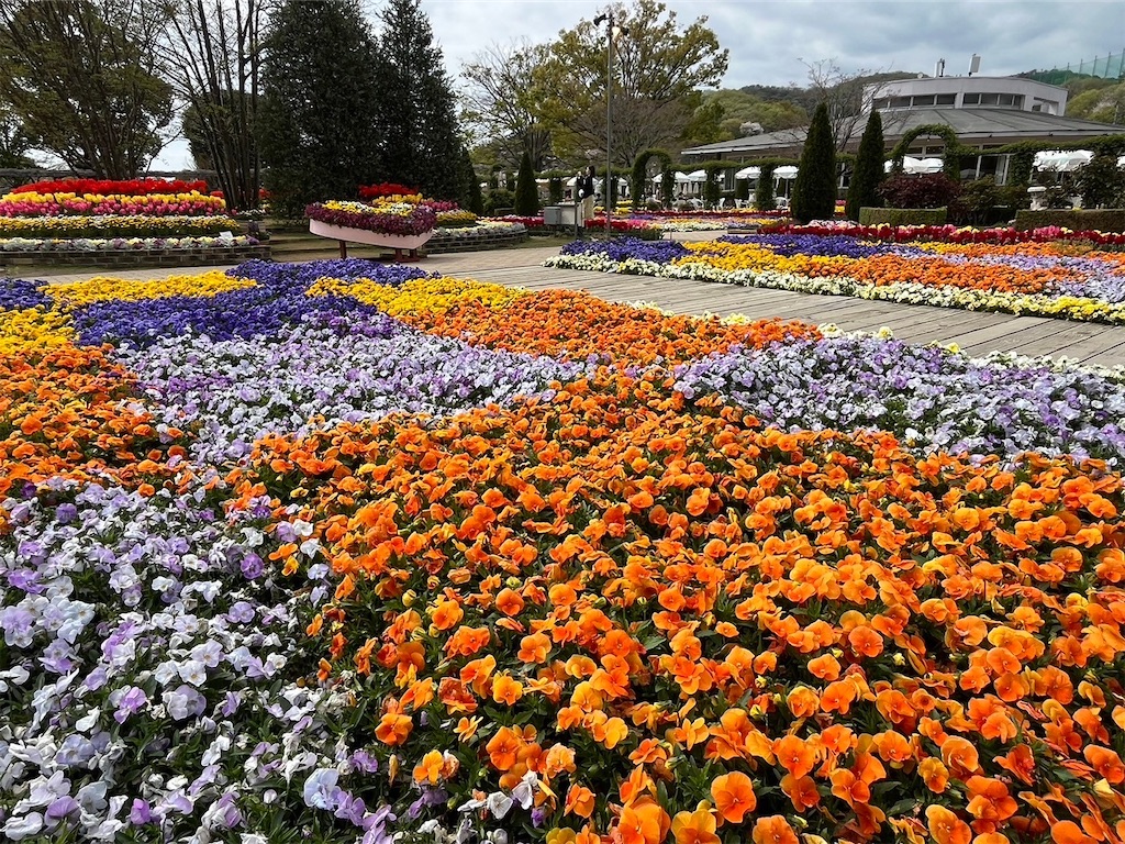 f:id:blueocchi:20240417154536j:image f:id:blueocchi:20240417154536j:image