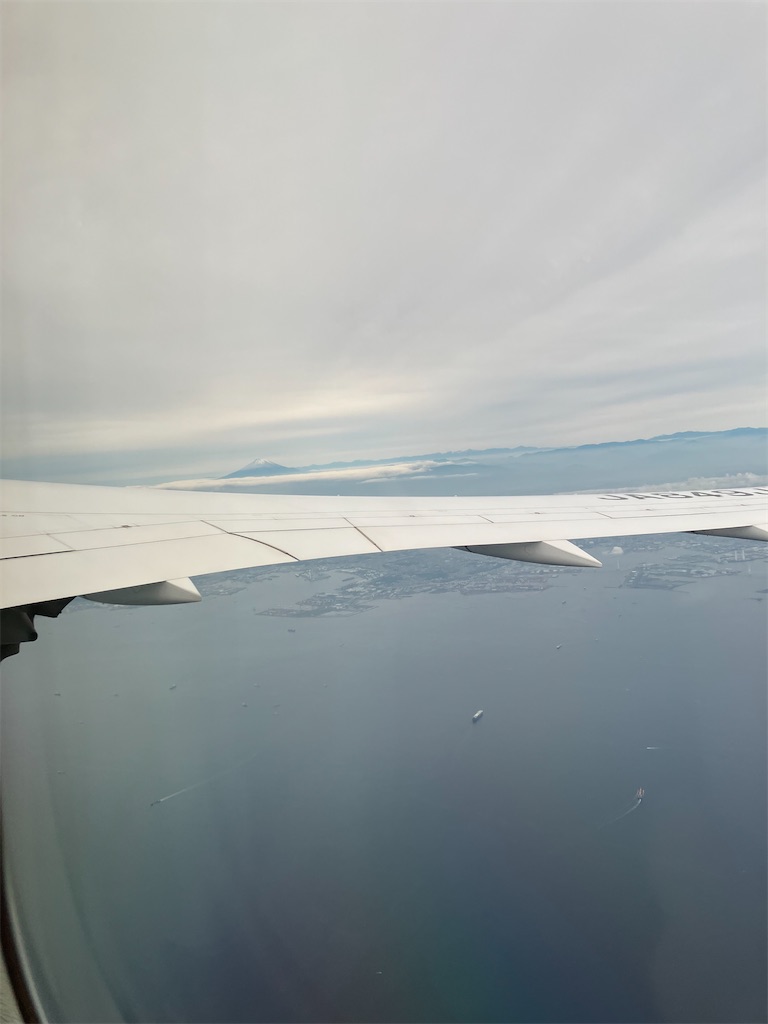 f:id:blueocchi:20240606211514j:image f:id:blueocchi:20240606211514j:image