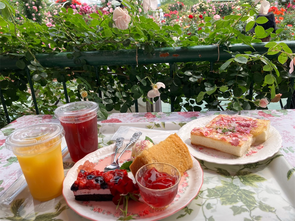 f:id:blueocchi:20240607081132j:image f:id:blueocchi:20240607081132j:image