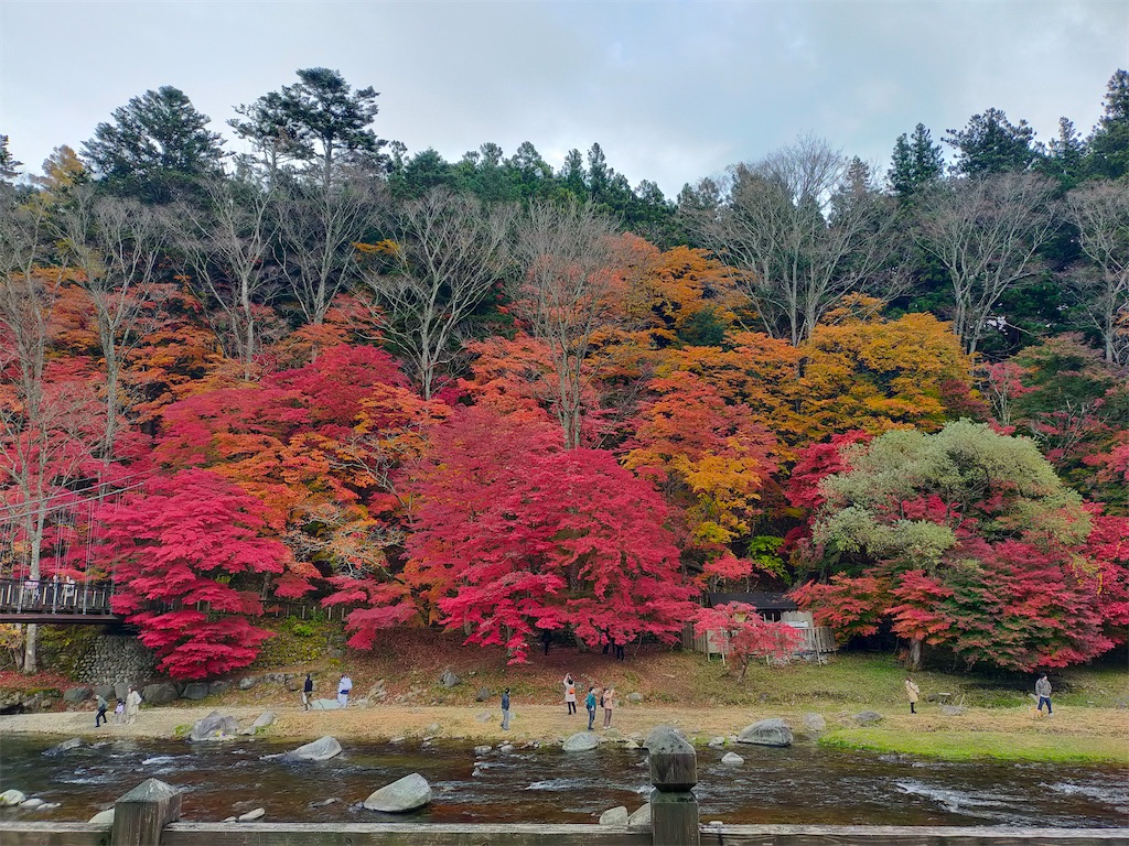 f:id:blueocchi:20241121210508j:image f:id:blueocchi:20241121210508j:image