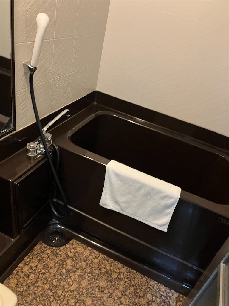 f:id:blueocchi:20241121210524j:image f:id:blueocchi:20241121210524j:image