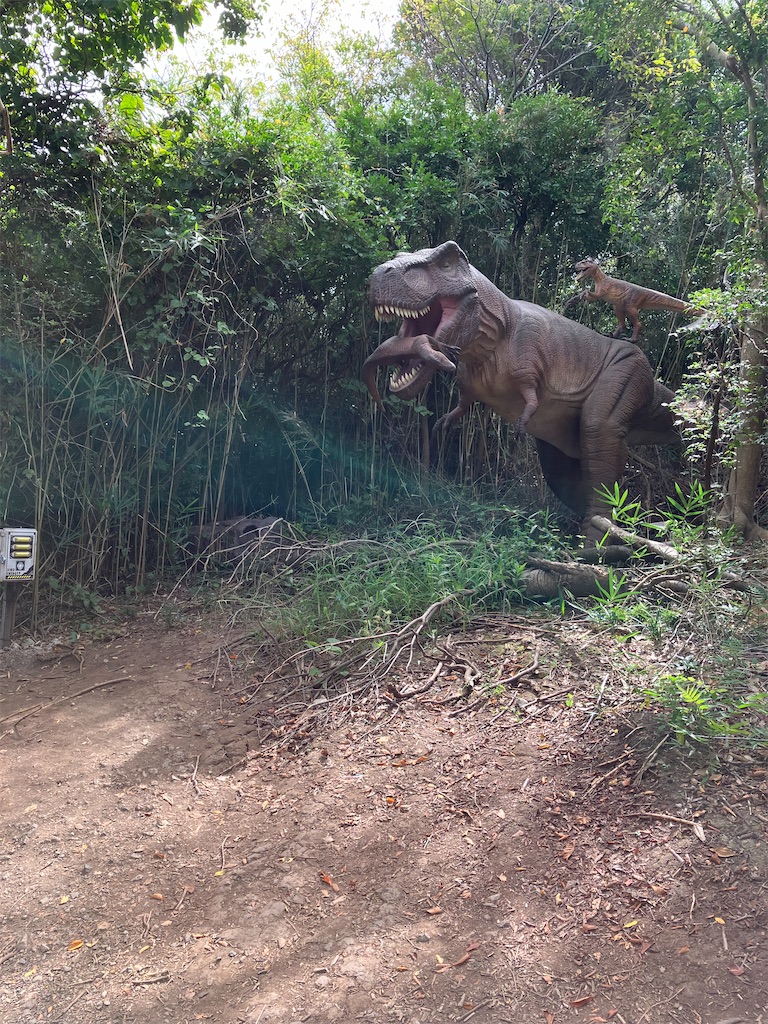 f:id:blueocchi:20241123125935j:image f:id:blueocchi:20241123125935j:image