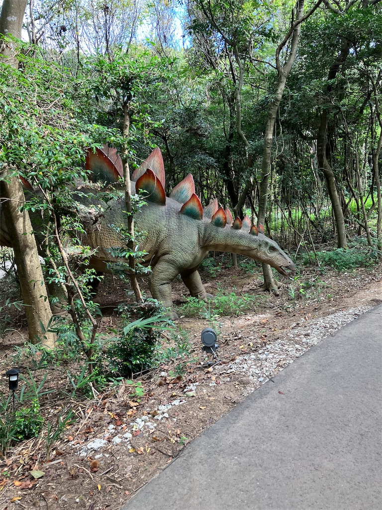 f:id:blueocchi:20241123125939j:image f:id:blueocchi:20241123125939j:image