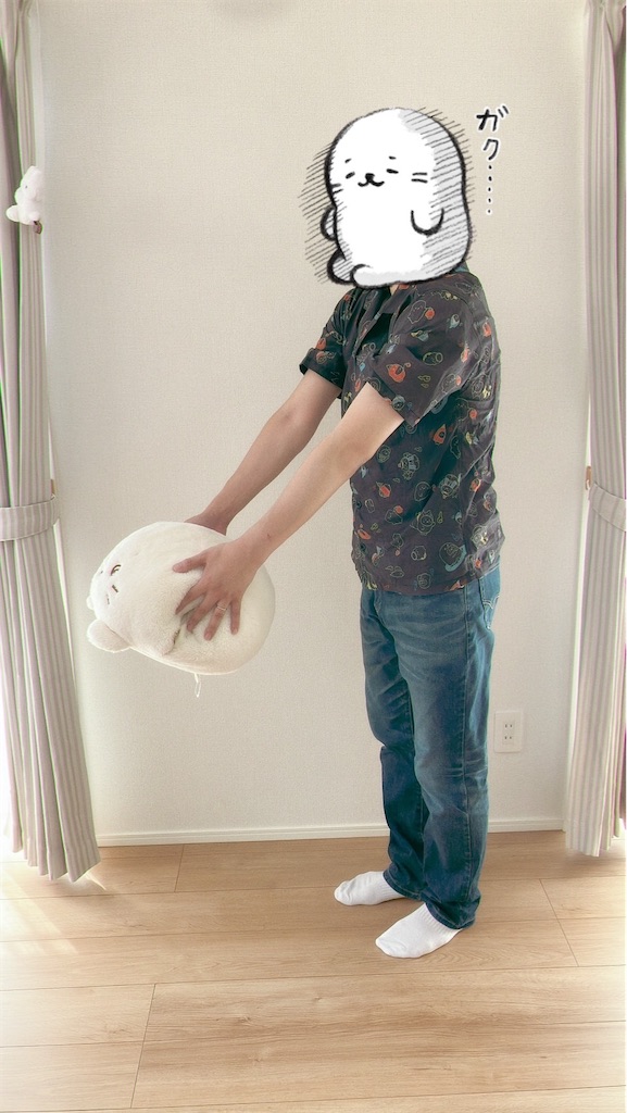 f:id:blueocean00:20240823223537j:image