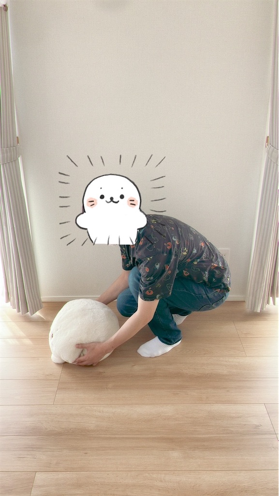 f:id:blueocean00:20240823223559j:image