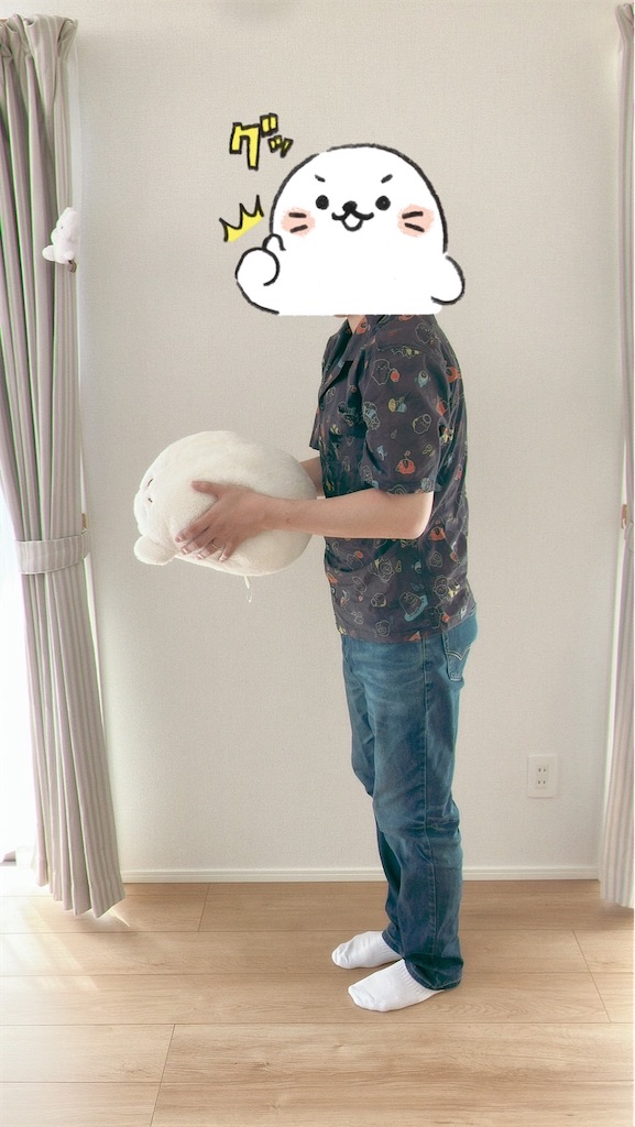 f:id:blueocean00:20240823223611j:image