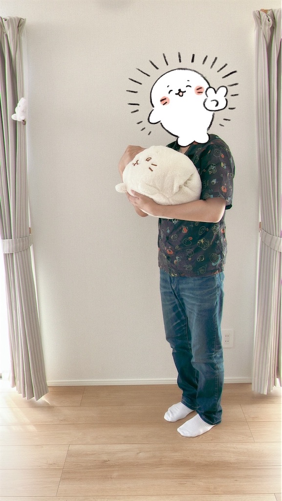 f:id:blueocean00:20240823223628j:image