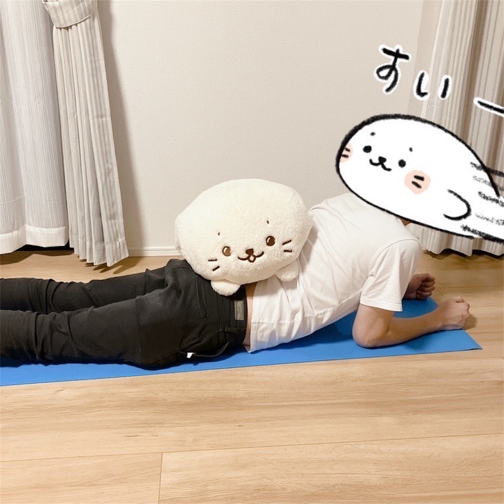 f:id:blueocean00:20240823223808j:image