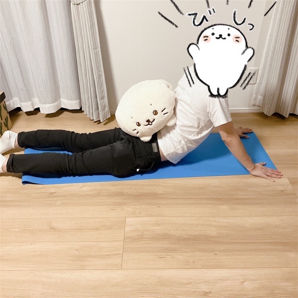 f:id:blueocean00:20240823223813j:image
