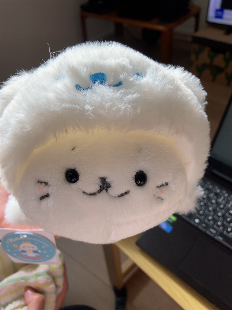 f:id:blueocean00:20240824202418j:image