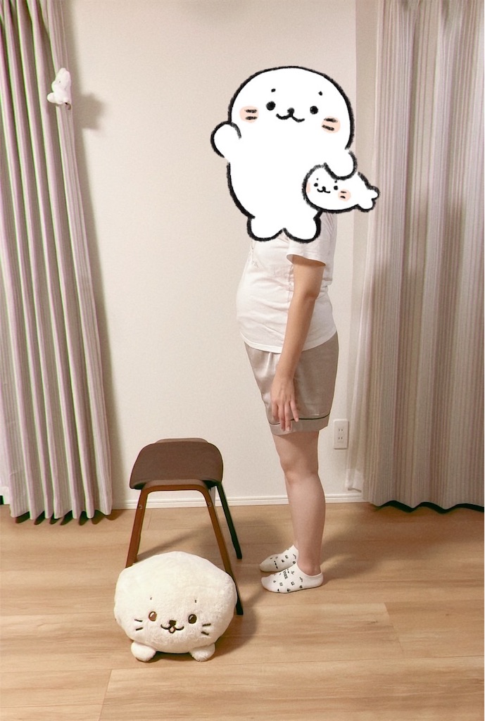 f:id:blueocean00:20240827121558j:image