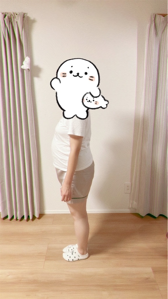 f:id:blueocean00:20240827121612j:image