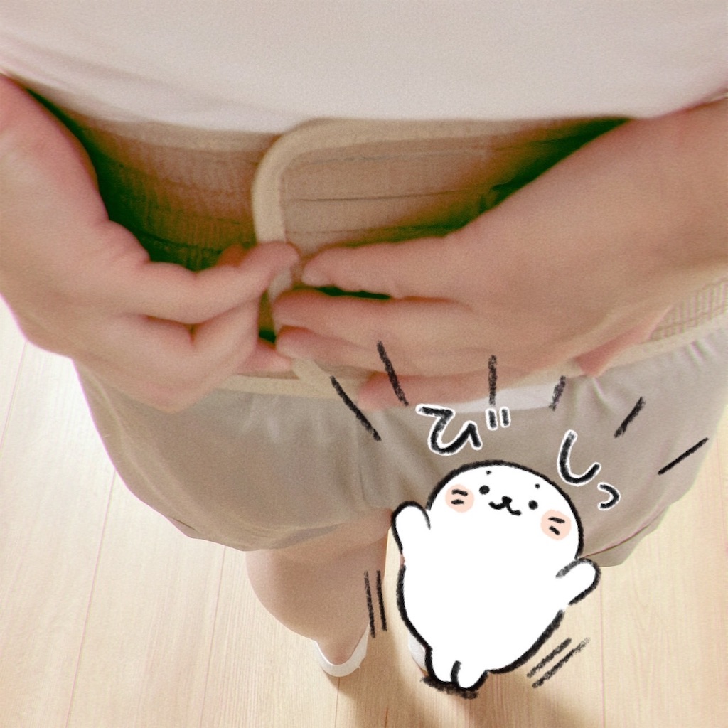 f:id:blueocean00:20240827121620j:image