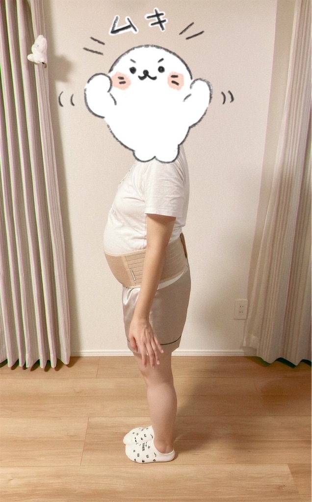 f:id:blueocean00:20240827121816j:image