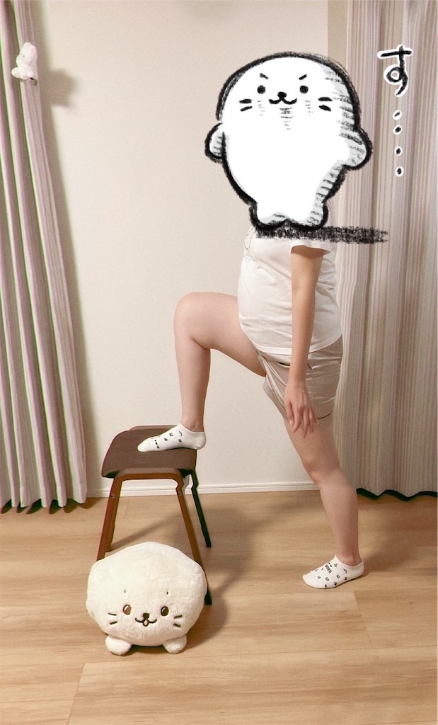 f:id:blueocean00:20240827124121j:image
