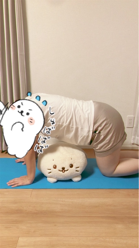 f:id:blueocean00:20240827124626j:image