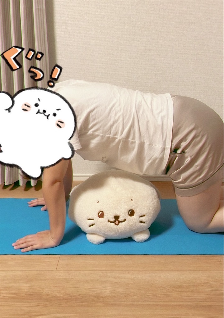 f:id:blueocean00:20240827124732j:image