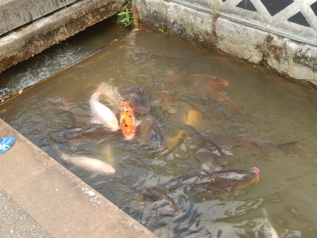 f:id:bluepost69:20160824001918j:plain