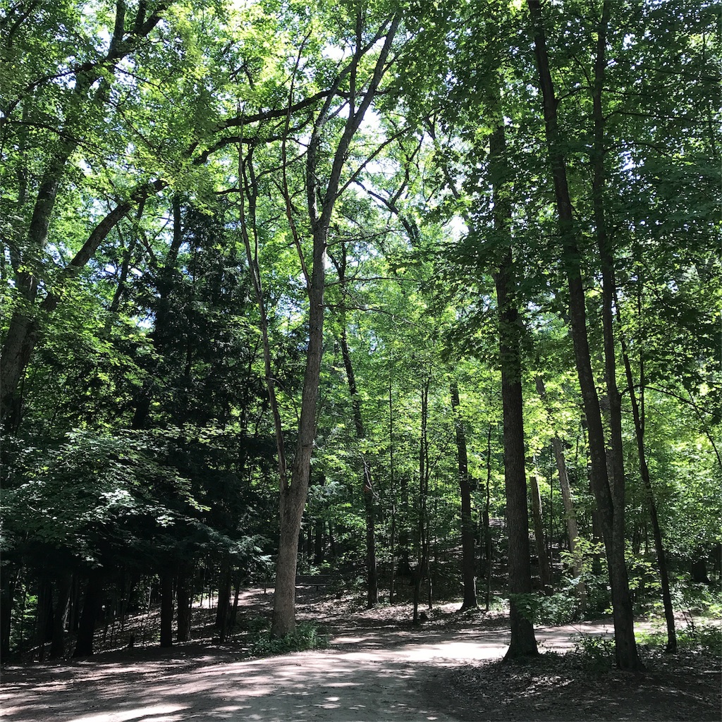 f:id:blueresonant:20180816163704j:image f:id:blueresonant:20180816163704j:image