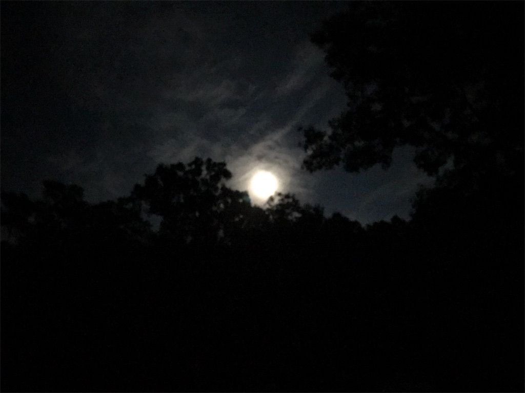 f:id:blueresonant:20180816164613j:image f:id:blueresonant:20180816164613j:image