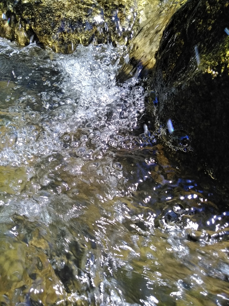 f:id:blueroseyumekanau:20181001180559j:plain f:id:blueroseyumekanau:20181001180559j:plain