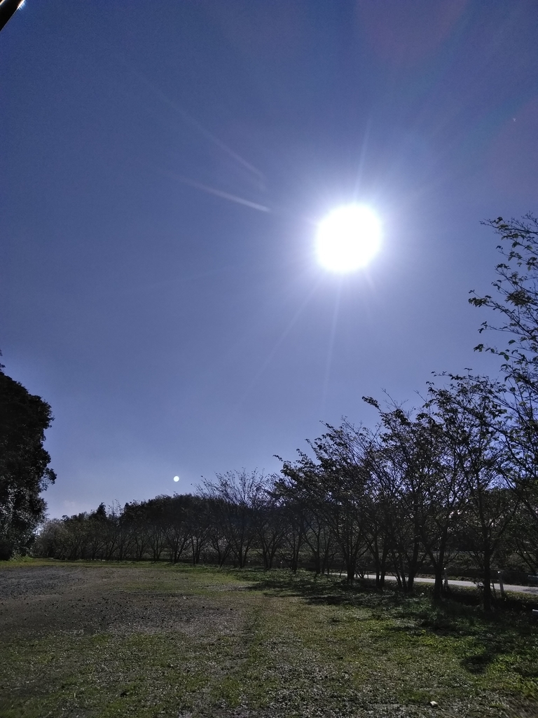 f:id:blueroseyumekanau:20181030092902j:plain f:id:blueroseyumekanau:20181030092902j:plain