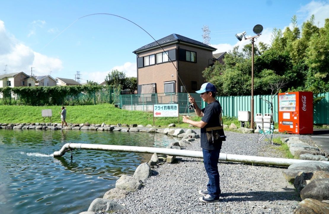 f:id:blues_harp:20180831001330j:plain f:id:blues_harp:20180831001330j:plain