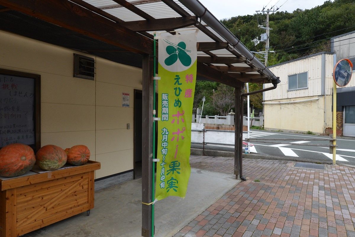 f:id:blues_harp:20181022040233j:plain f:id:blues_harp:20181022040233j:plain