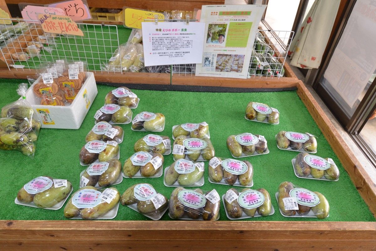 f:id:blues_harp:20181022040330j:plain f:id:blues_harp:20181022040330j:plain