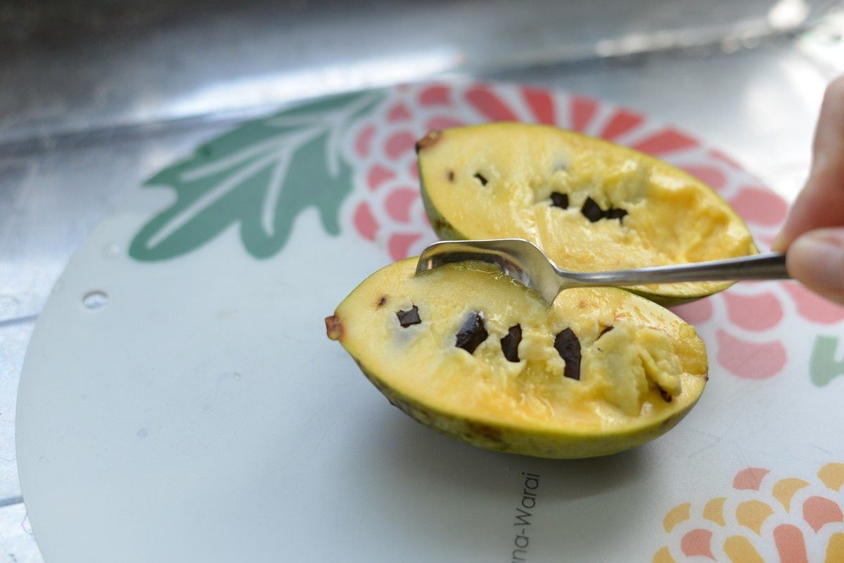 f:id:blues_harp:20181022040840j:plain f:id:blues_harp:20181022040840j:plain